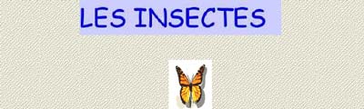 Le monde des insectes, par A. Ramel